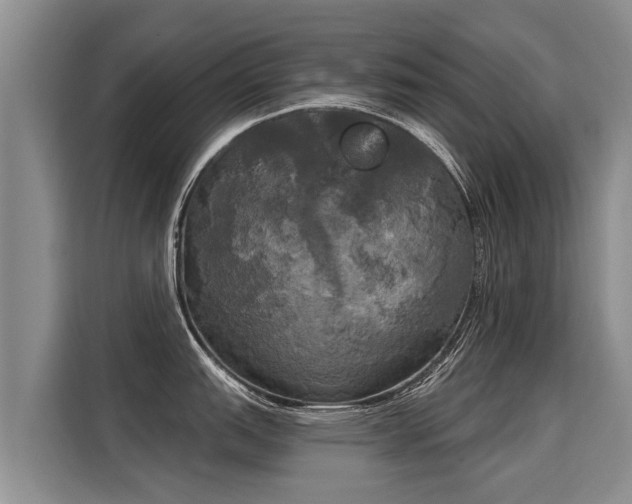 X0000116031151200911271131