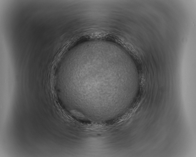 X0000116031153200911271130