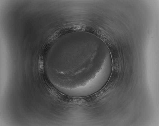 X0000116031154200911271130
