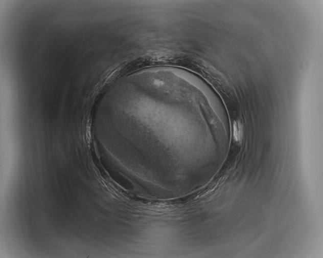 X0000116031155200911271130