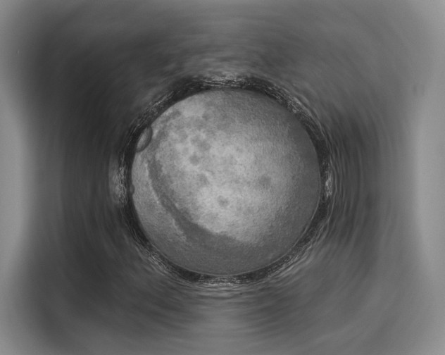 X0000116031156200911271130