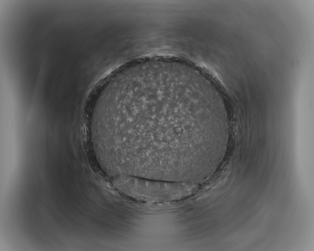 X0000116031159200911271130