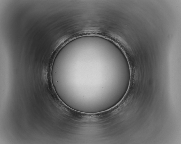 X0000116031162200911271130