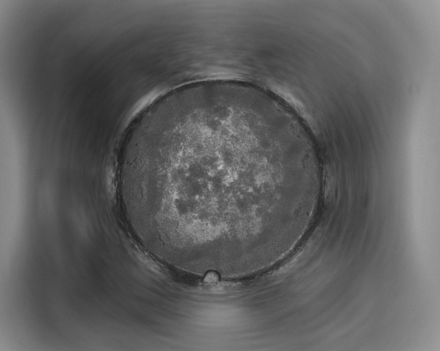 X0000116031163200911271130