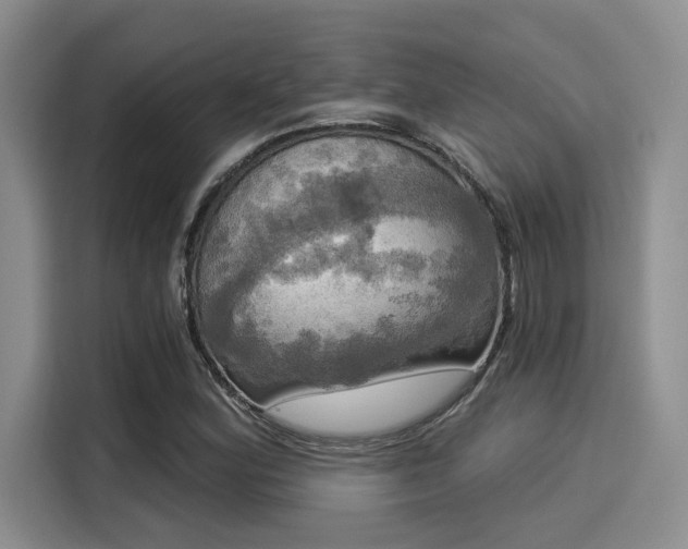 X0000116031164200911271130