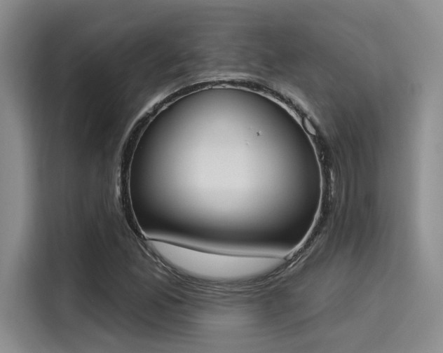 X0000116031165200911271130