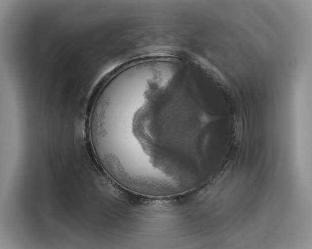 X0000116031166200911271130