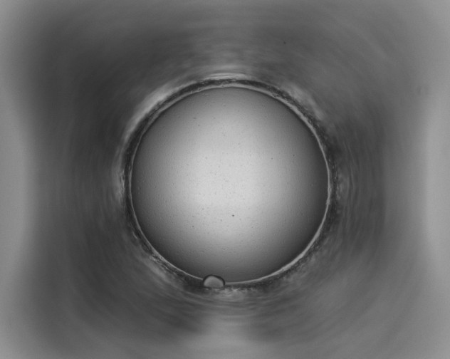 X0000116031167200911271130