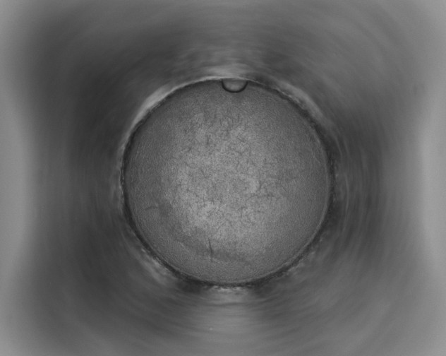 X0000116031168200911271130
