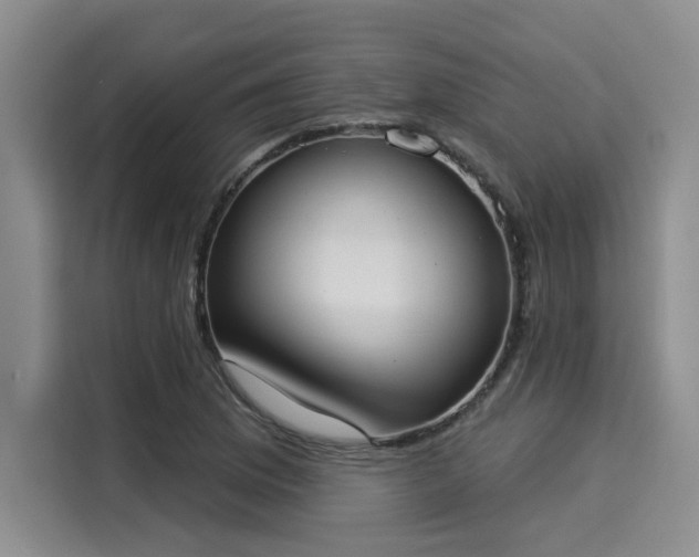X0000116031169200911271130