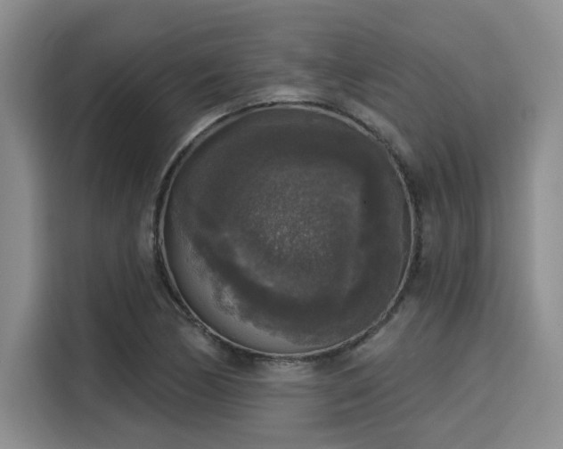 X0000116031170200911271130