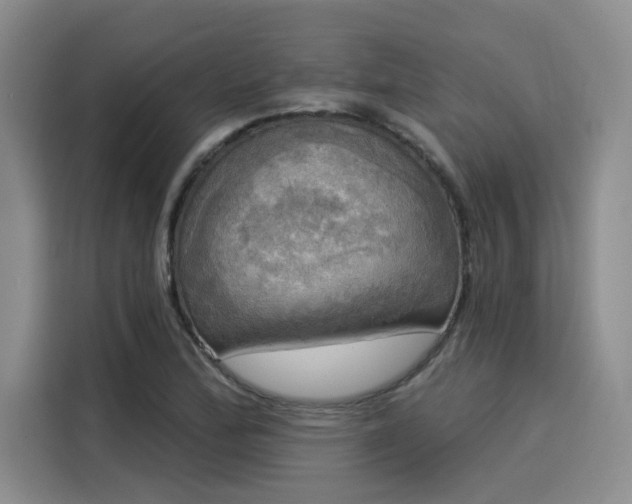 X0000116031172200911271130