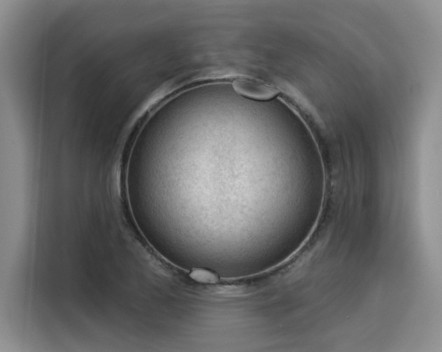X0000116031173200911271130