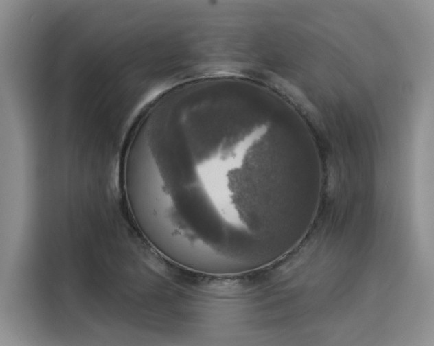 X0000116031174200911271130