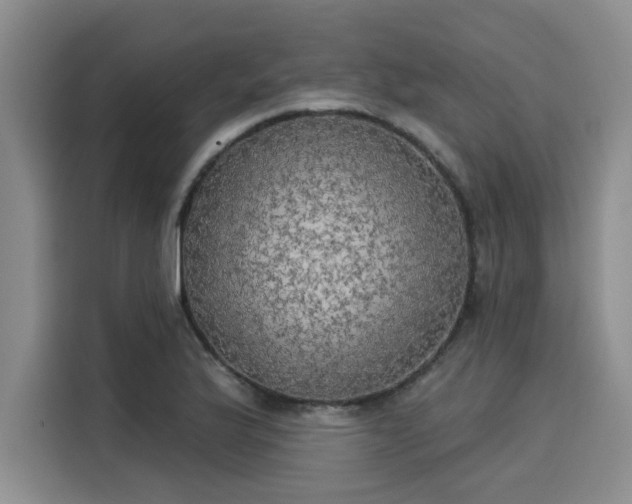 X0000116031175200911271130