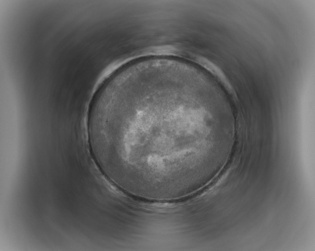 X0000116031176200911271130