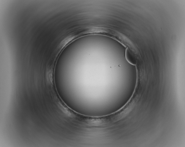X0000116031177200911271130