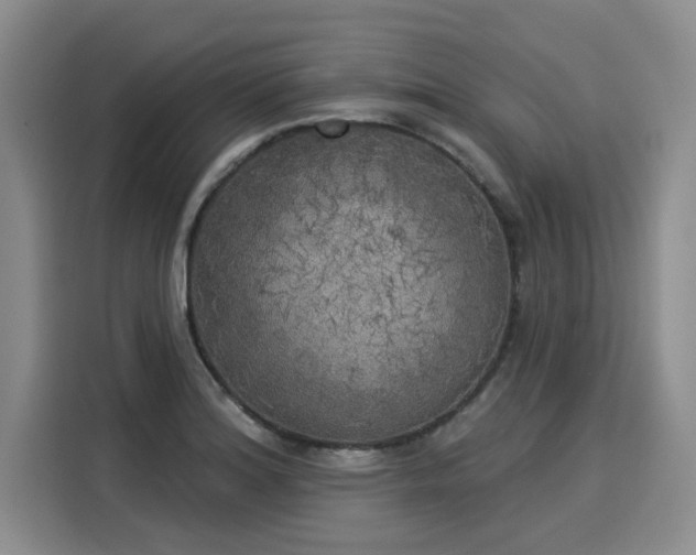 X0000116031180200911271130