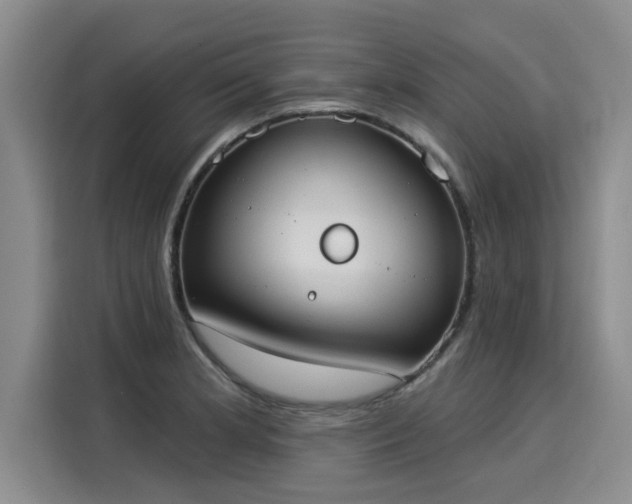 X0000116031181200911271130