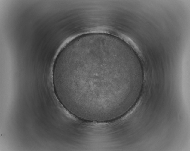 X0000116031184200911271130