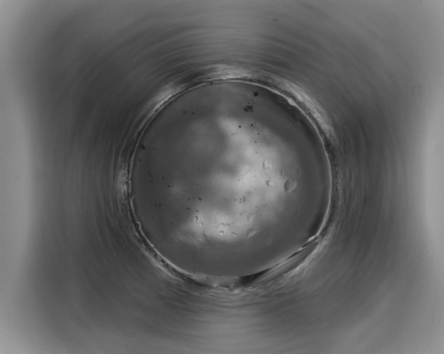 X0000116031185200911271130