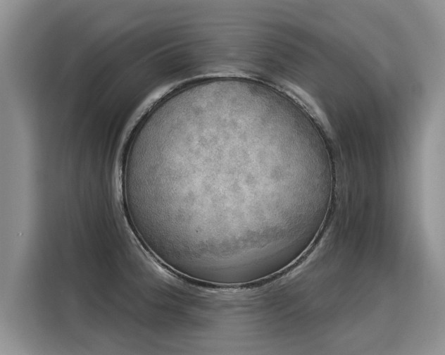 X0000116031188200911271130