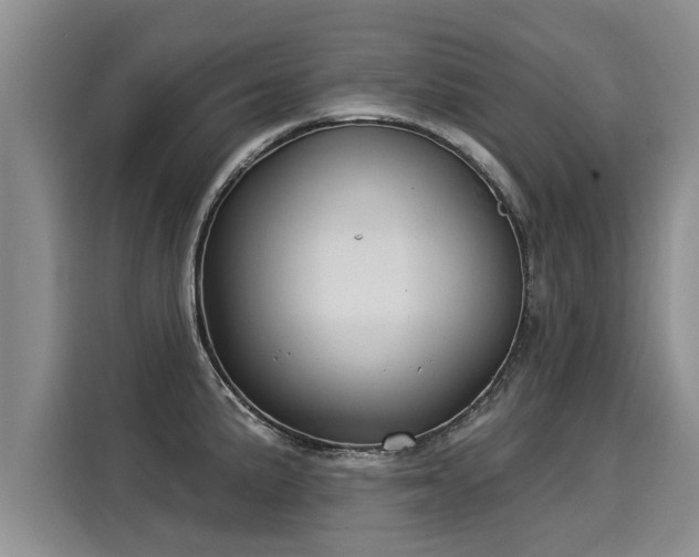 X0000116031191200911271130