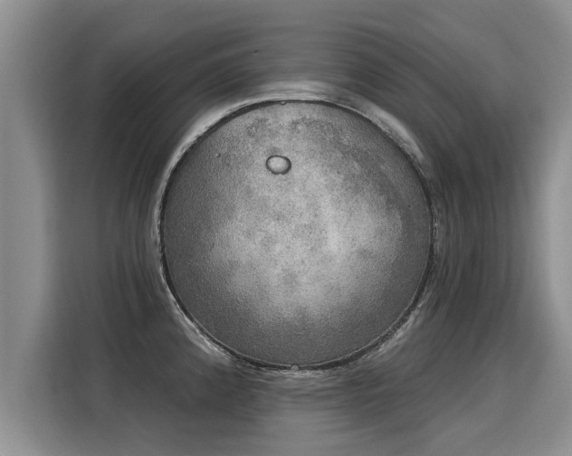 X0000116031192200911271130