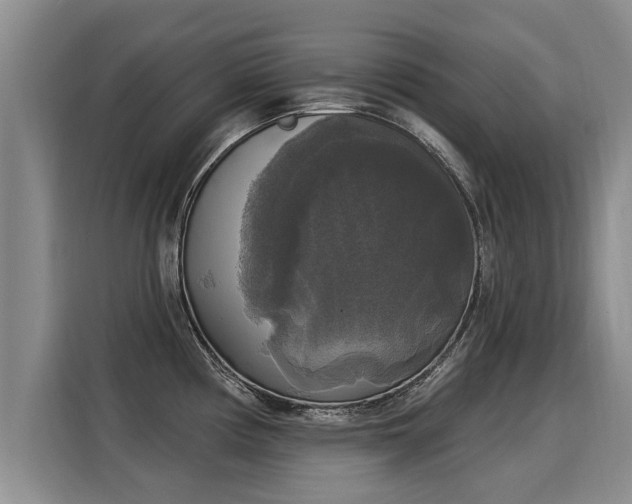 X0000116031194200911271130
