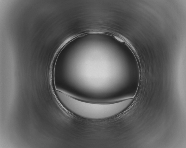 X0000116031195200911271130