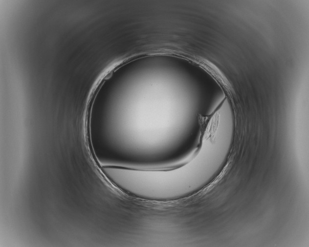 X0000116031196200911271130