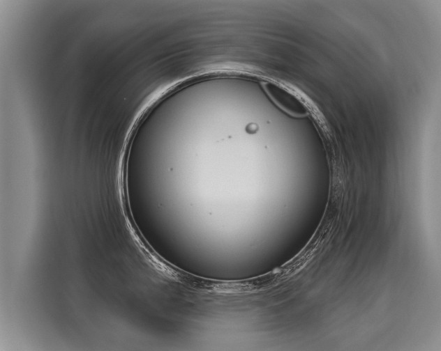 X0000116031199200911271130