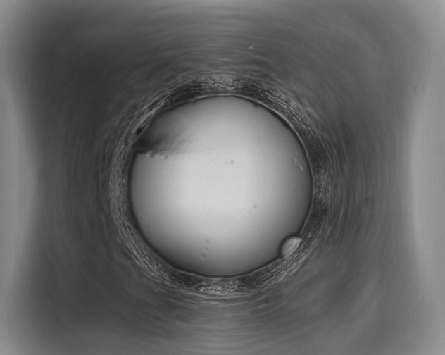 X0000116031201200911271129