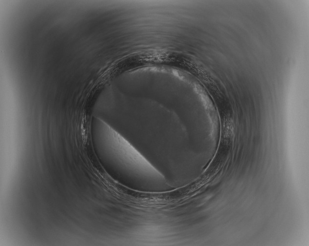 X0000116031202200911271129