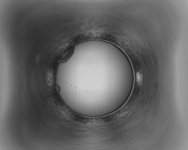 X0000116031203200911271129