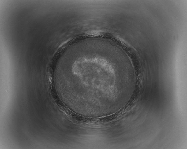 X0000116031206200911271129