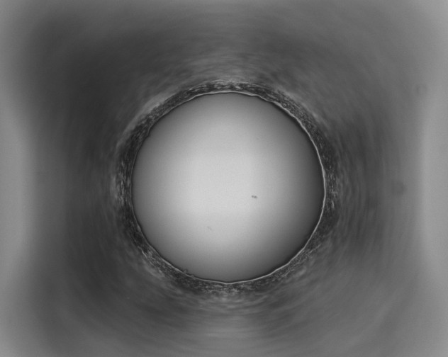 X0000116031207200911271129