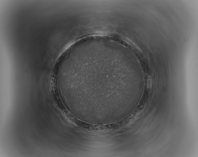 X0000116031208200911271129