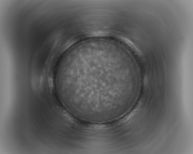X0000116031209200911271129