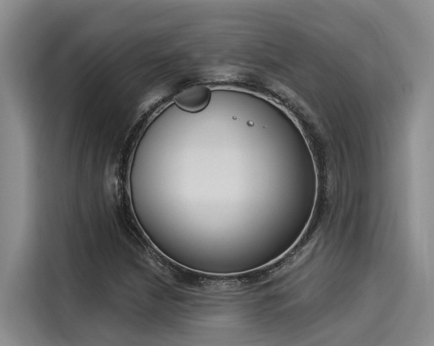 X0000116031210200911271129