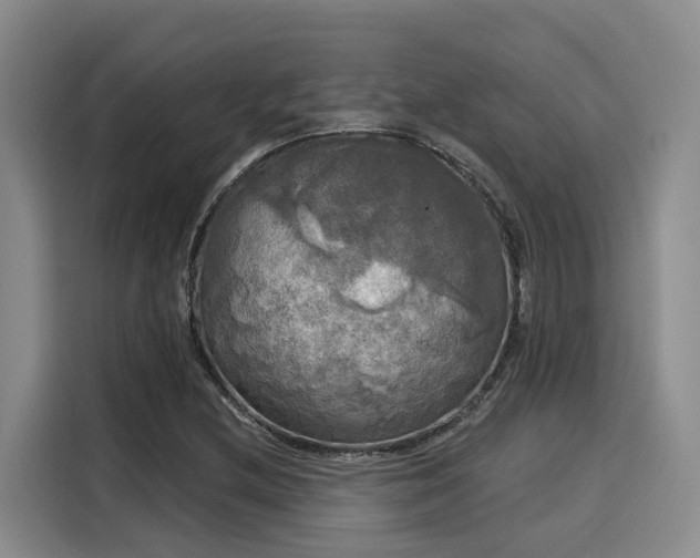 X0000116031212200911271129
