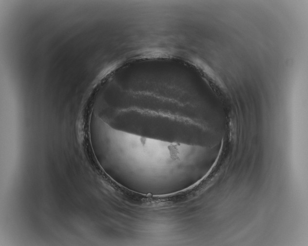 X0000116031213200911271129