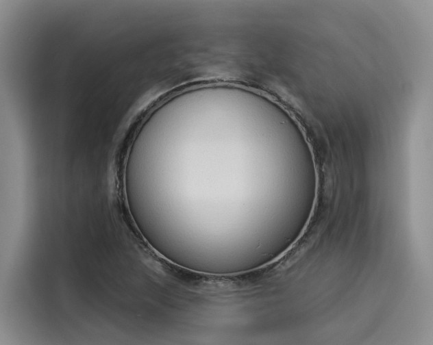 X0000116031215200911271129