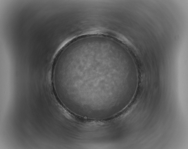 X0000116031216200911271129