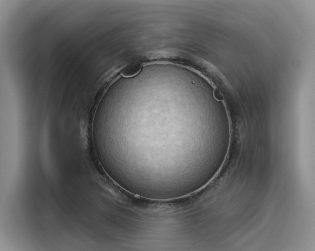 X0000116031217200911271129