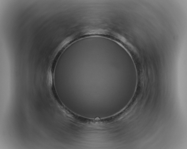 X0000116031221200911271129