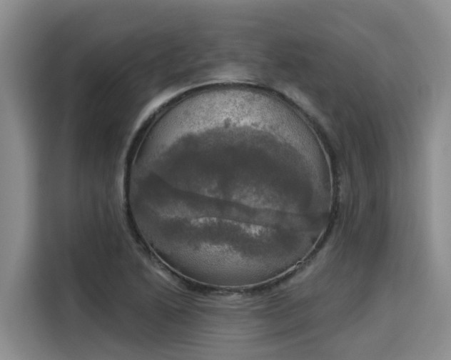 X0000116031222200911271129