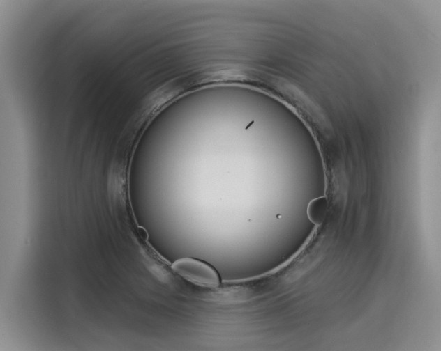 X0000116031225200911271129