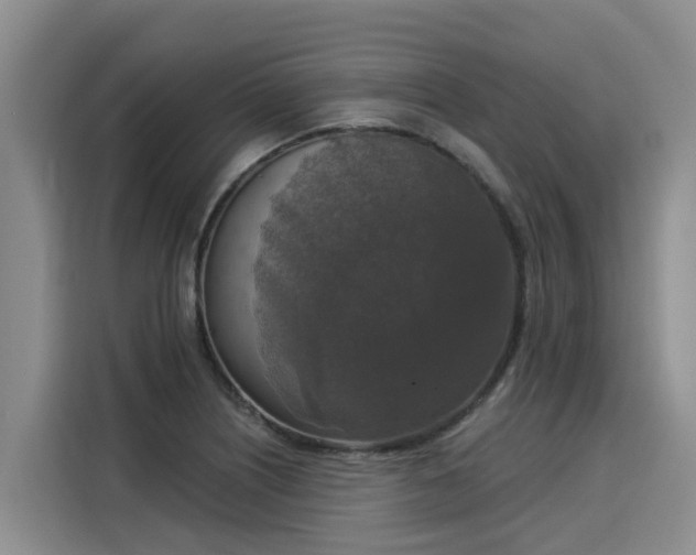X0000116031226200911271129