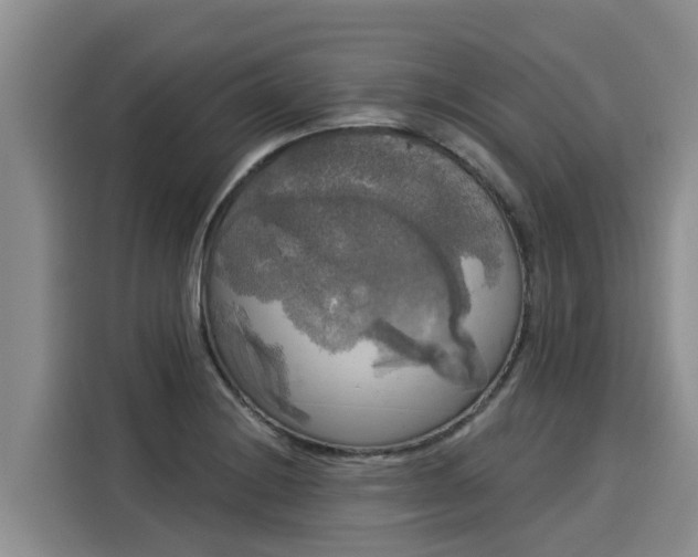 X0000116031228200911271129